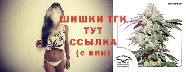 прущие грибы Заволжск