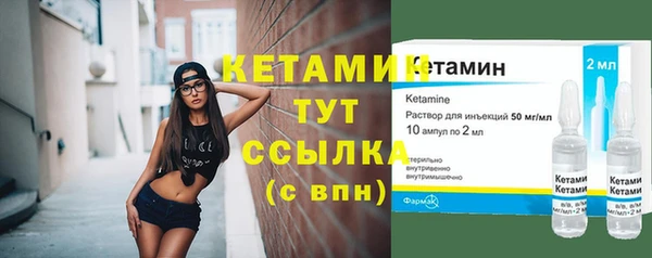 прущие грибы Заволжск
