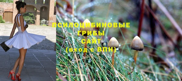 прущие грибы Заволжск