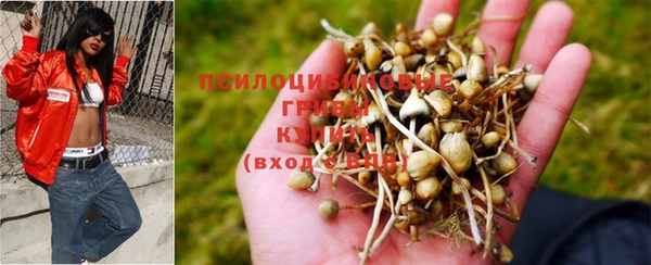 каннабис Заводоуковск