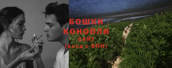 прущие грибы Заволжск