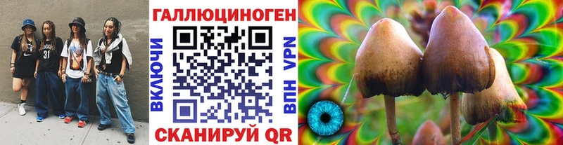 мориарти какой сайт  KRAKEN сайт  Галлюциногенные грибы прущие грибы  Чегем  хочу наркоту 